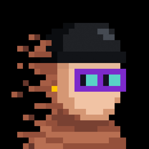 Collection example (brown-black-cap) — sourced community repost of zkSNARKs character art; not a treasury holding.