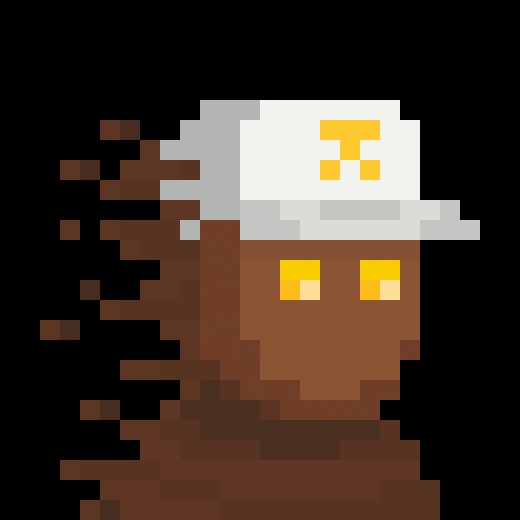 Collection example (brown-white-cap) — sourced community repost of zkSNARKs character art; not a treasury holding.